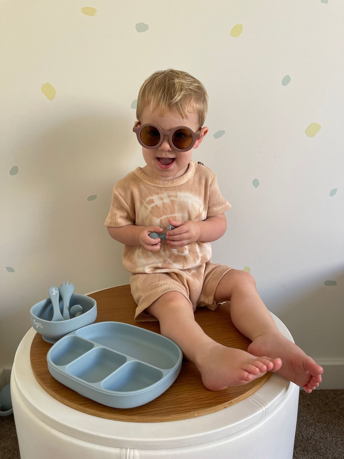 Divided Plate with Silicone Lid