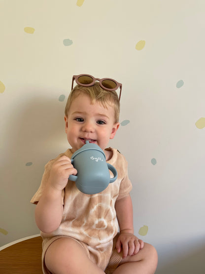 Sippy Snack cup