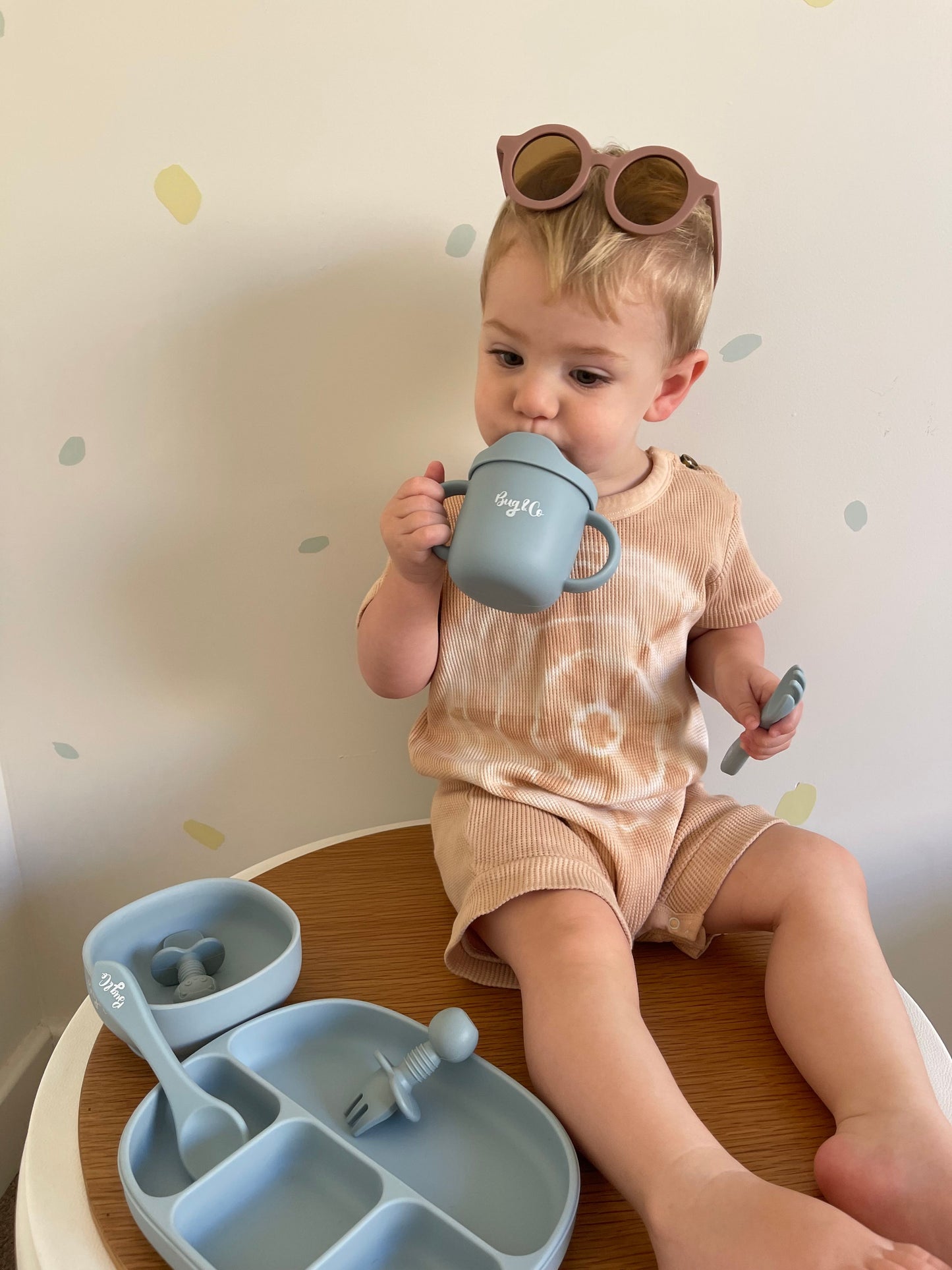 Sippy Snack cup